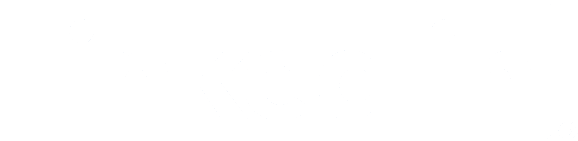 LI-Logo_weiss_INTERN